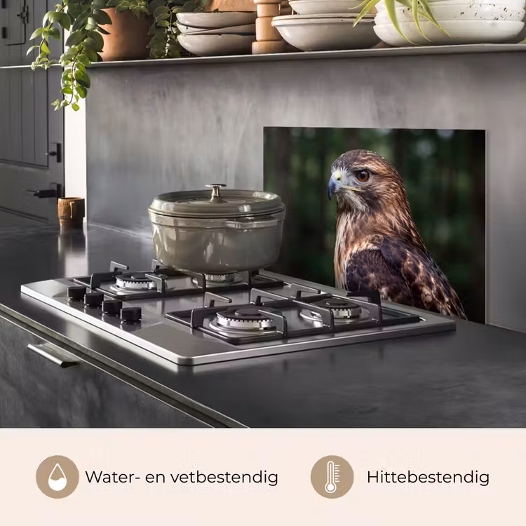 Spatscherm keuken - Buizerd - Roofvogel - Natuur - Bruin — 7