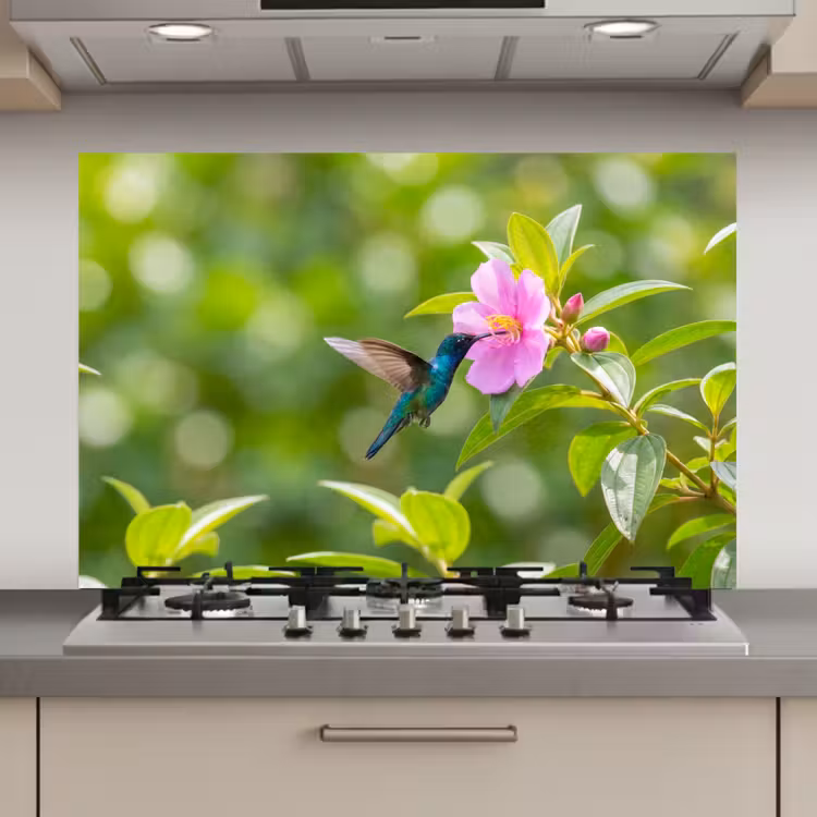 Spatscherm keuken - Kolibrie - Bloem - Natuur - Groen — 1