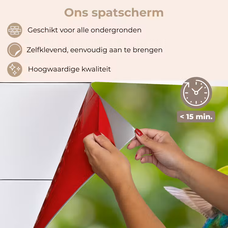 Spatscherm keuken - Kolibrie - Bloem - Natuur - Groen — 4