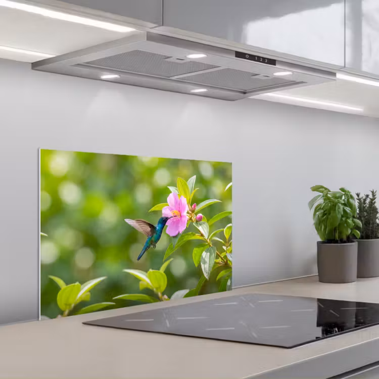 Spatscherm keuken - Kolibrie - Bloem - Natuur - Groen — 5