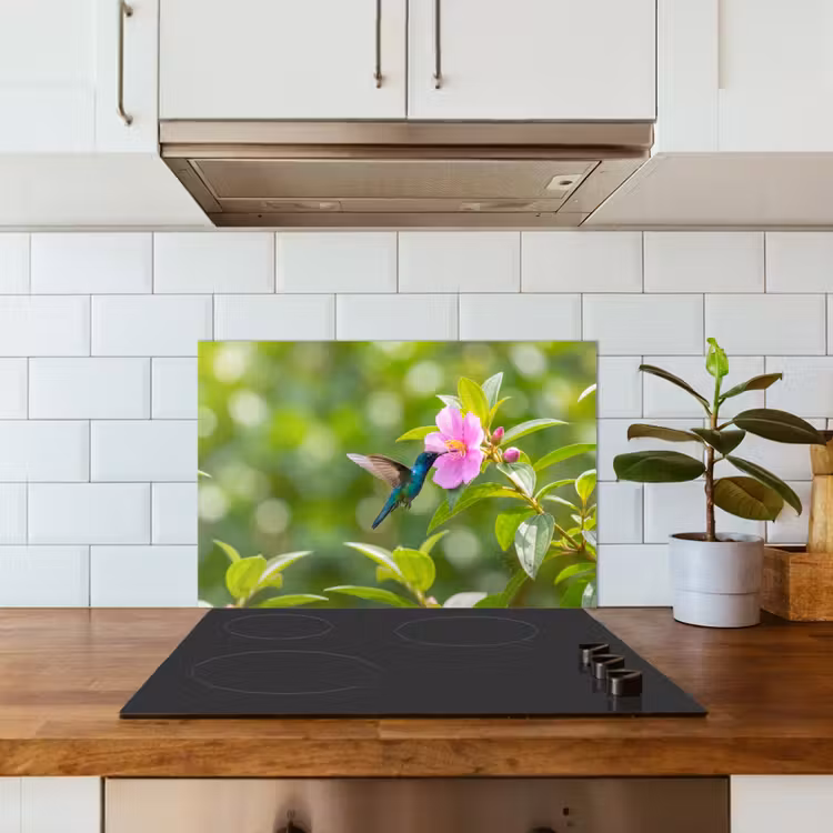 Spatscherm keuken - Kolibrie - Bloem - Natuur - Groen — 6