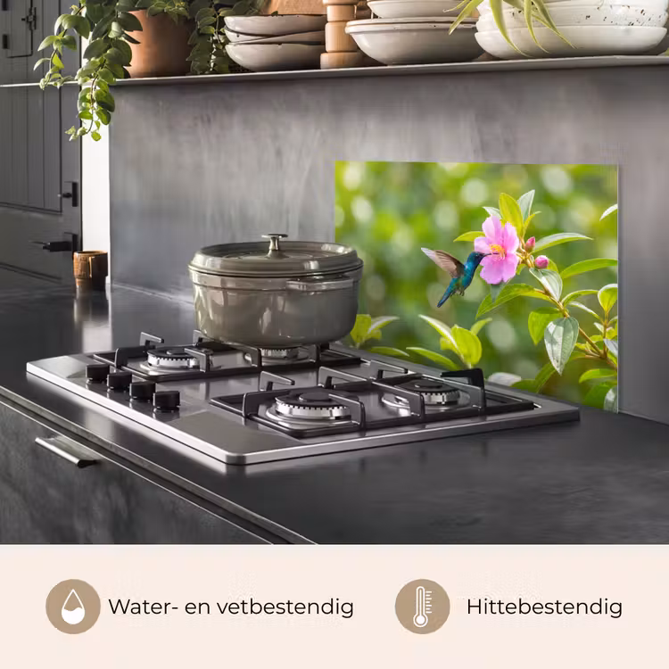 Spatscherm keuken - Kolibrie - Bloem - Natuur - Groen — 7