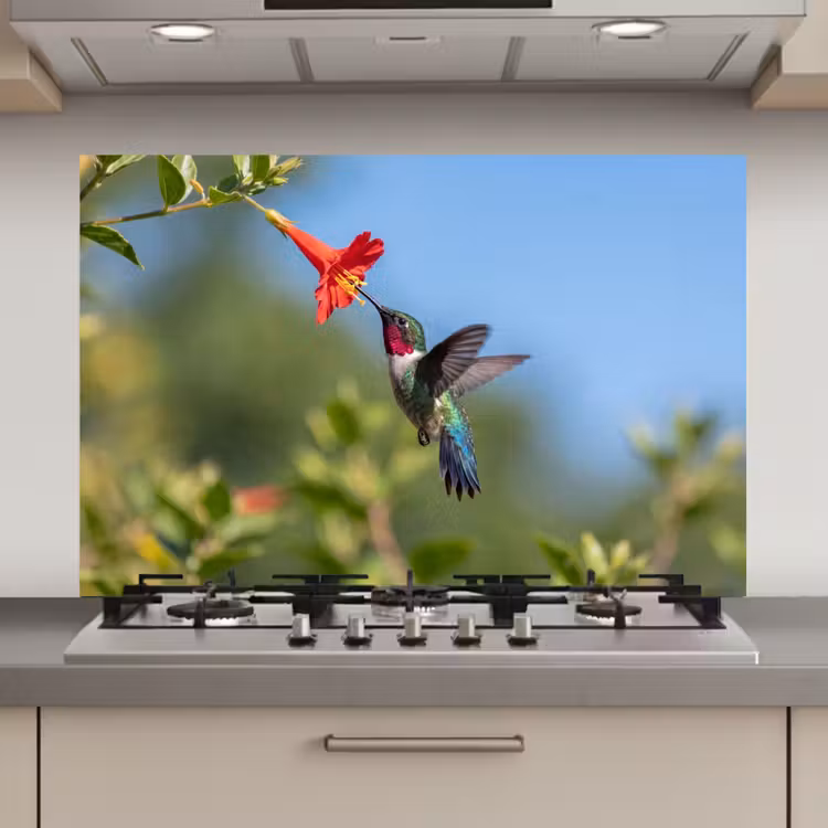 Spatscherm keuken - Kolibrie - Bloem - Natuur - Groen — 1