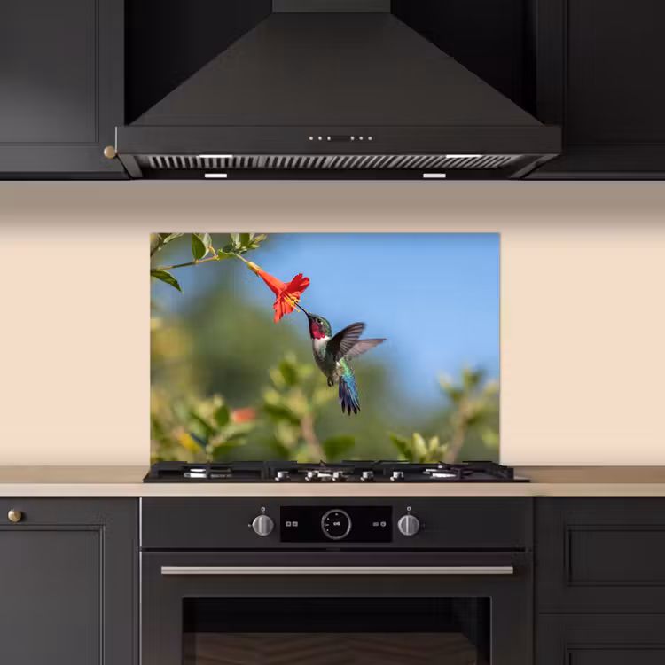 Spatscherm keuken - Kolibrie - Bloem - Natuur - Groen — 2