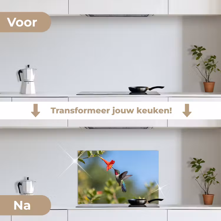 Spatscherm keuken - Kolibrie - Bloem - Natuur - Groen — 3