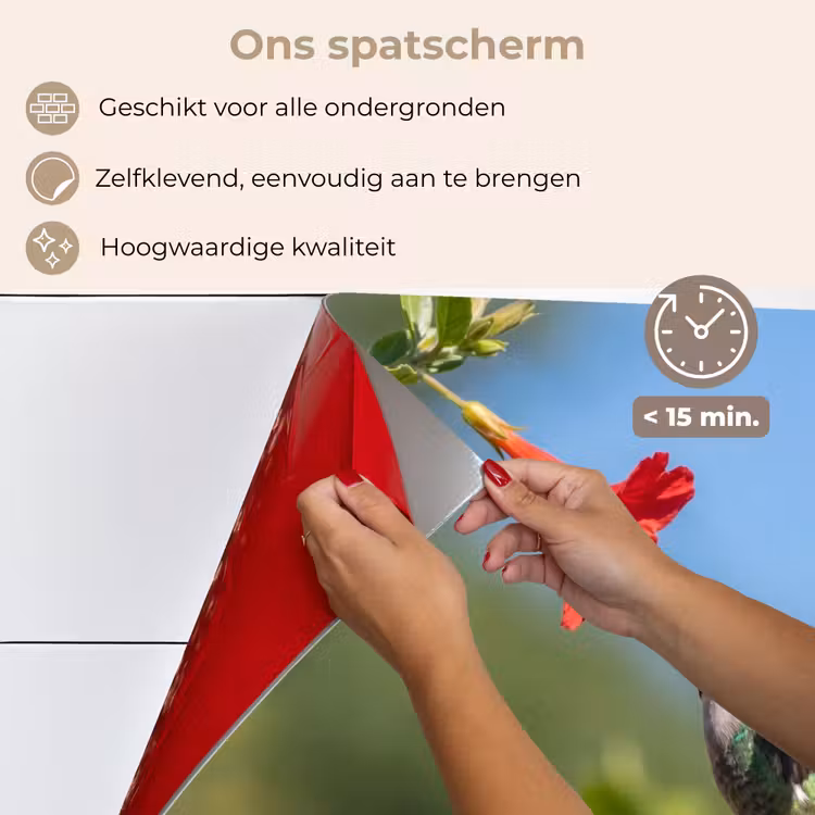 Spatscherm keuken - Kolibrie - Bloem - Natuur - Groen — 4