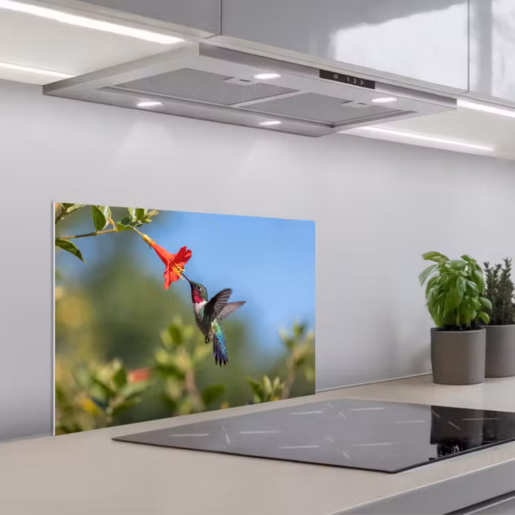 Spatscherm keuken - Kolibrie - Bloem - Natuur - Groen — 5