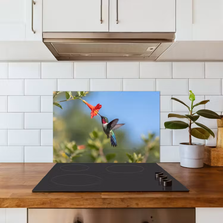 Spatscherm keuken - Kolibrie - Bloem - Natuur - Groen — 6