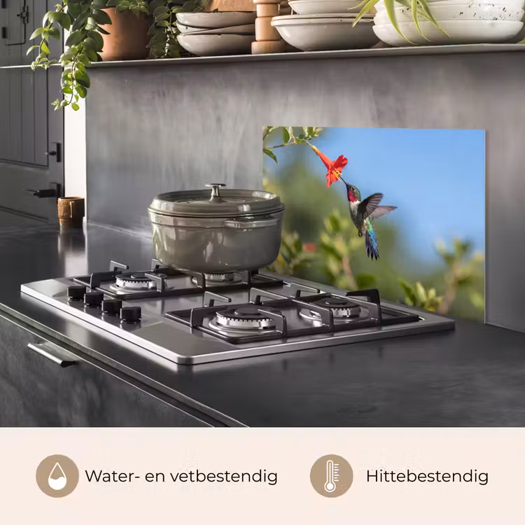 Spatscherm keuken - Kolibrie - Bloem - Natuur - Groen — 7
