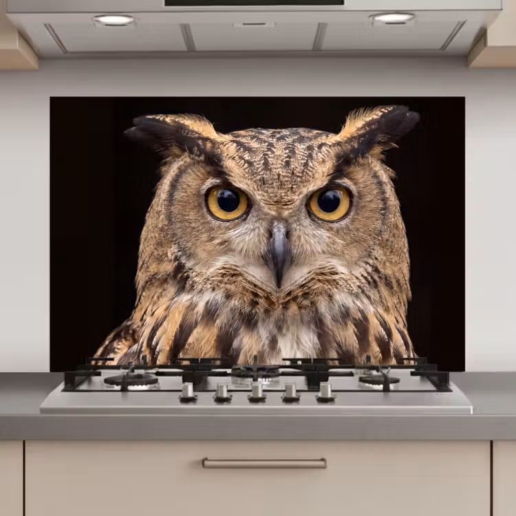 Spatscherm keuken - Oehoe - Uil - Portret - Bruin — 1