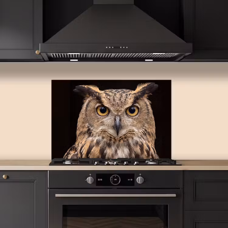 Spatscherm keuken - Oehoe - Uil - Portret - Bruin — 2