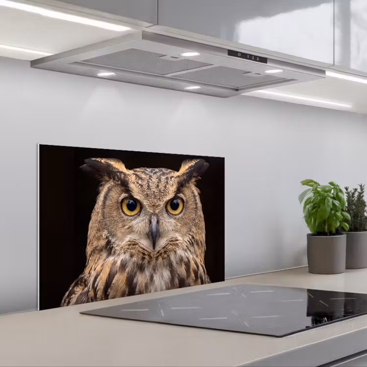Spatscherm keuken - Oehoe - Uil - Portret - Bruin — 5