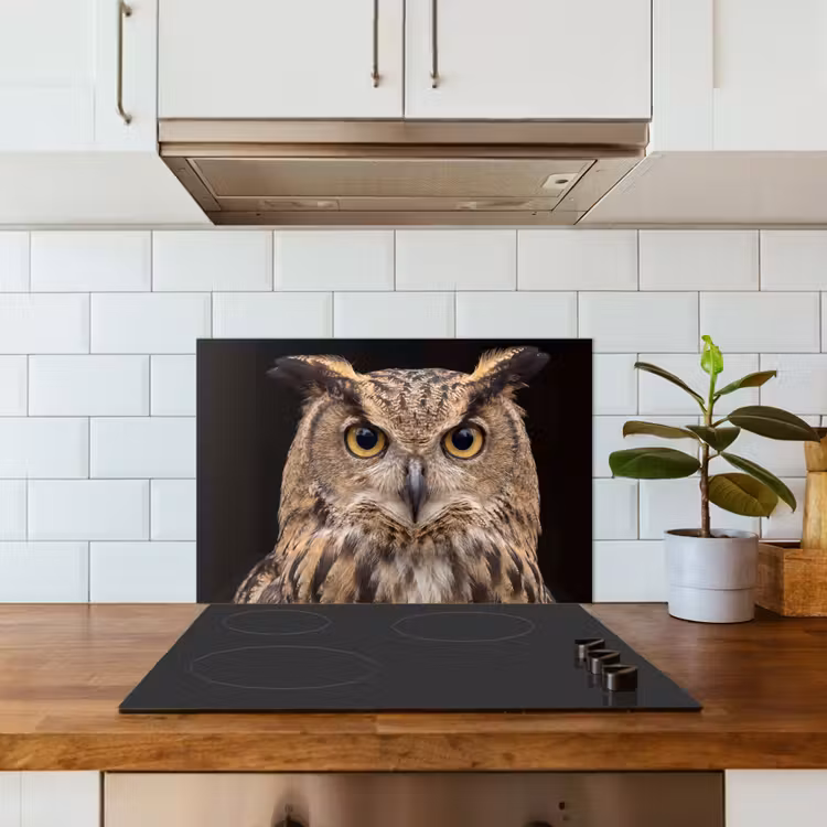 Spatscherm keuken - Oehoe - Uil - Portret - Bruin — 6
