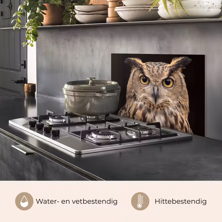 Spatscherm keuken - Oehoe - Uil - Portret - Bruin — 7