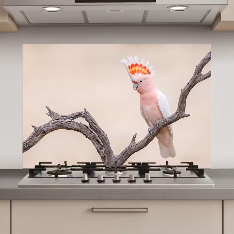 Spatscherm keuken - Papagaai - Tak - Roze — 1