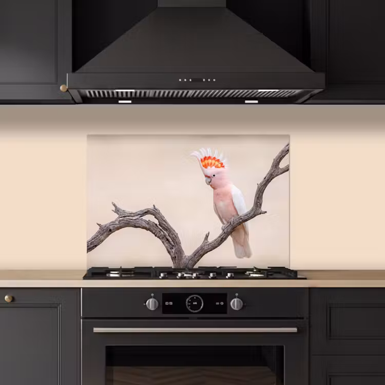 Spatscherm keuken - Papagaai - Tak - Roze — 2