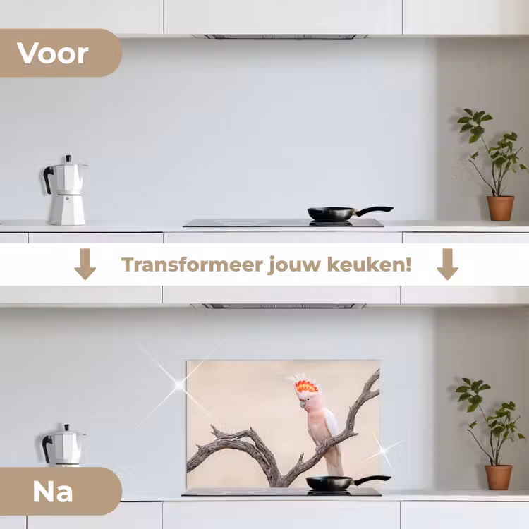 Spatscherm keuken - Papagaai - Tak - Roze — 3