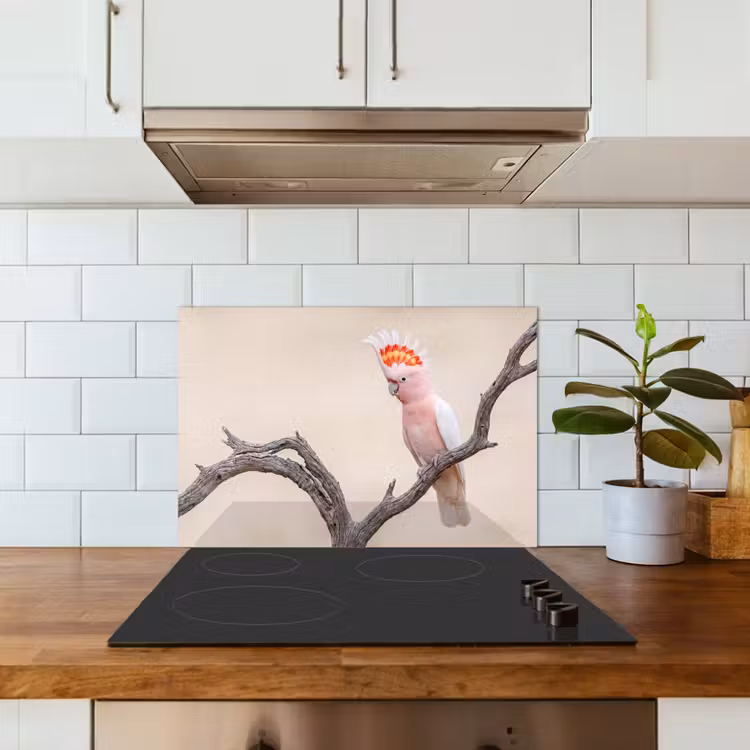 Spatscherm keuken - Papagaai - Tak - Roze — 6