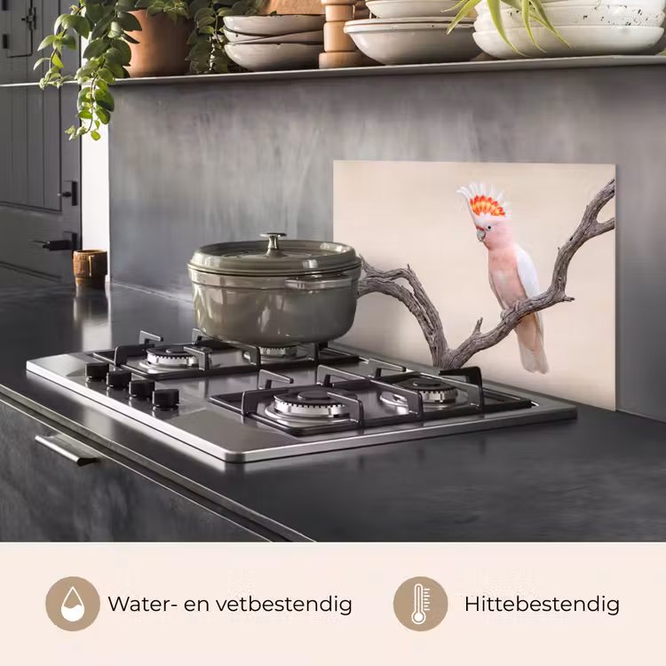 Spatscherm keuken - Papagaai - Tak - Roze — 7