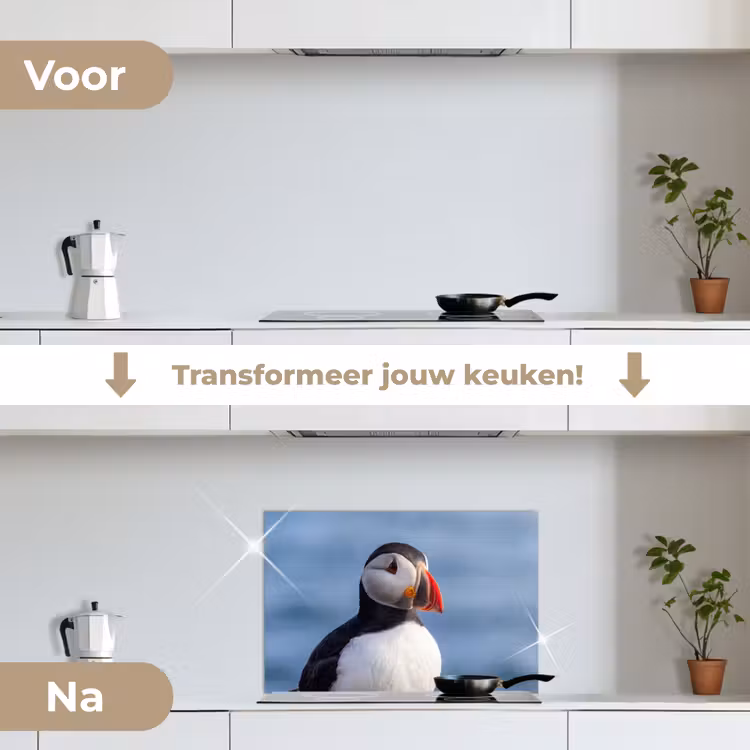 Spatscherm keuken - Papegaaiduiker - Portret - Natuur — 3