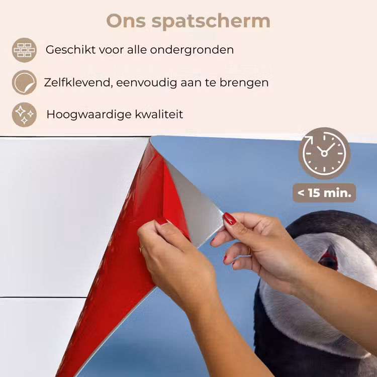 Spatscherm keuken - Papegaaiduiker - Portret - Natuur — 4