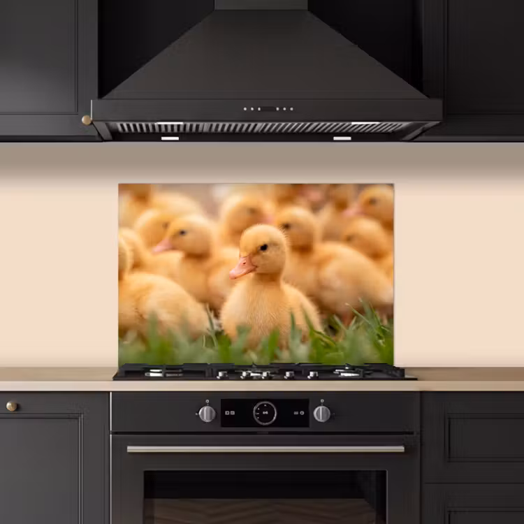 Spatscherm keuken - Pijltje - Eend - Natuur - Geel — 2