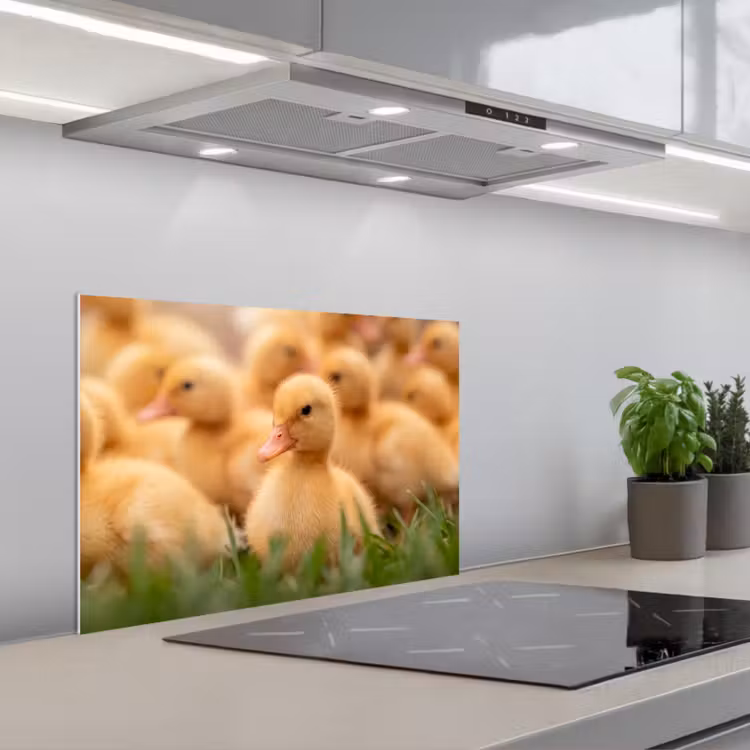 Spatscherm keuken - Pijltje - Eend - Natuur - Geel — 5