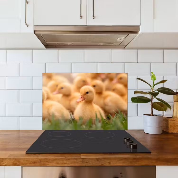 Spatscherm keuken - Pijltje - Eend - Natuur - Geel — 6