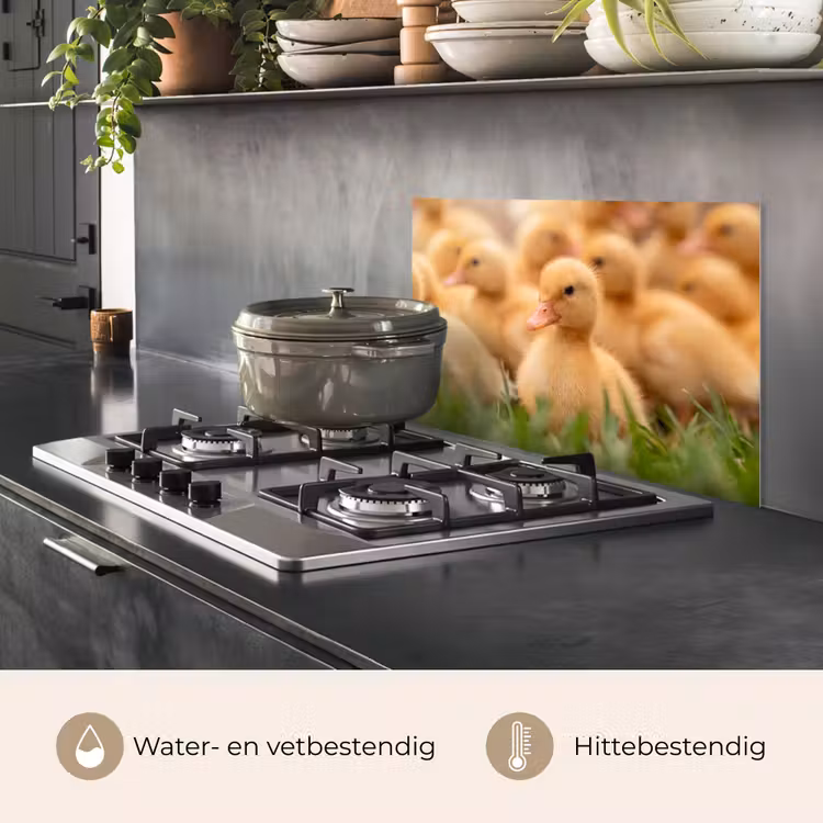 Spatscherm keuken - Pijltje - Eend - Natuur - Geel — 7