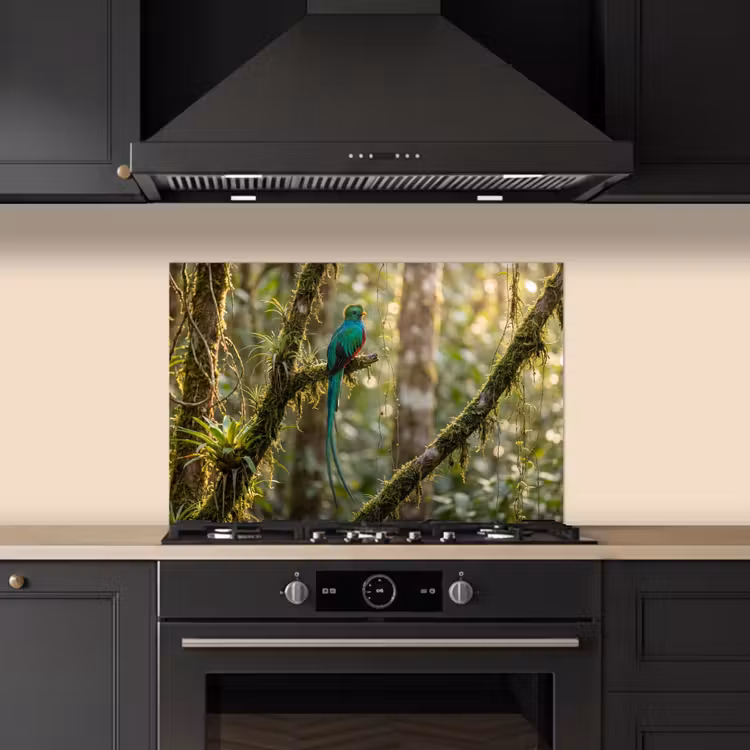 Spatscherm keuken - Quetzal - Jungle - Natuur - Groen — 2