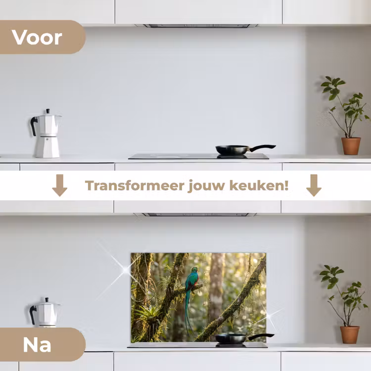 Spatscherm keuken - Quetzal - Jungle - Natuur - Groen — 3