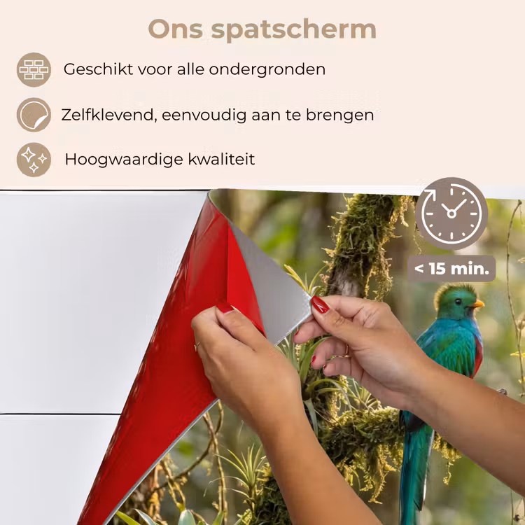 Spatscherm keuken - Quetzal - Jungle - Natuur - Groen — 4
