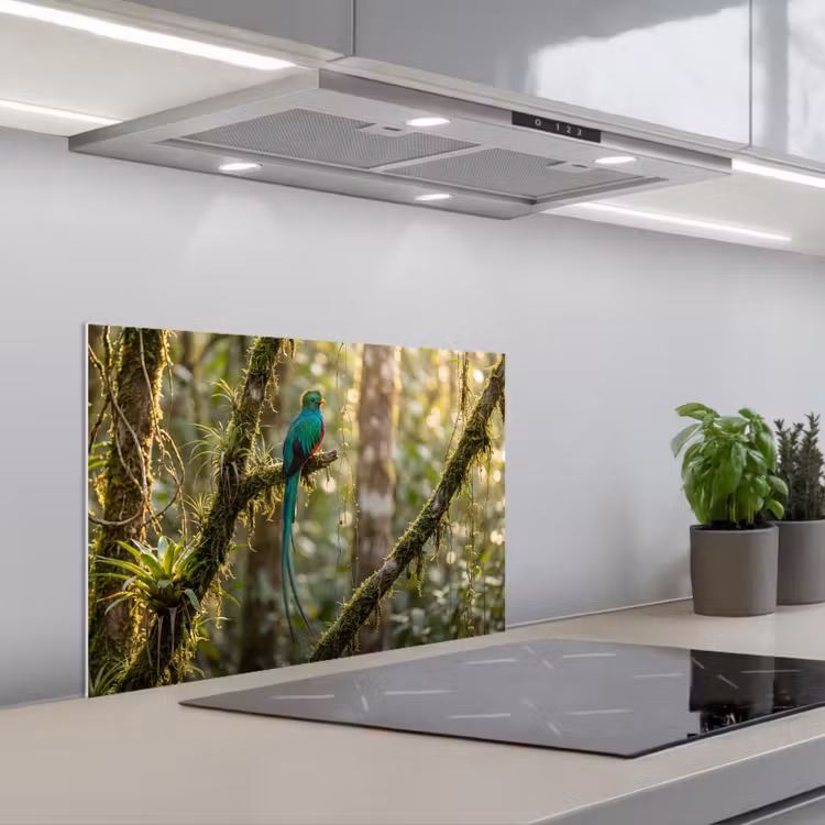 Spatscherm keuken - Quetzal - Jungle - Natuur - Groen — 5