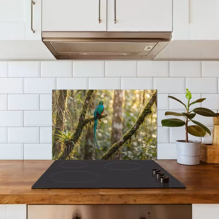 Spatscherm keuken - Quetzal - Jungle - Natuur - Groen — 6