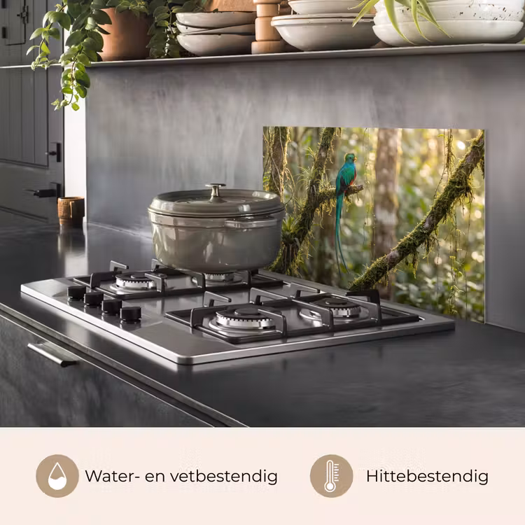 Spatscherm keuken - Quetzal - Jungle - Natuur - Groen — 7