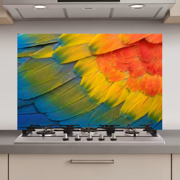 Spatscherm keuken - Veren - Ara - Kleurrijk — 1