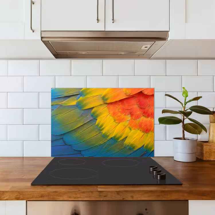 Spatscherm keuken - Veren - Ara - Kleurrijk — 6