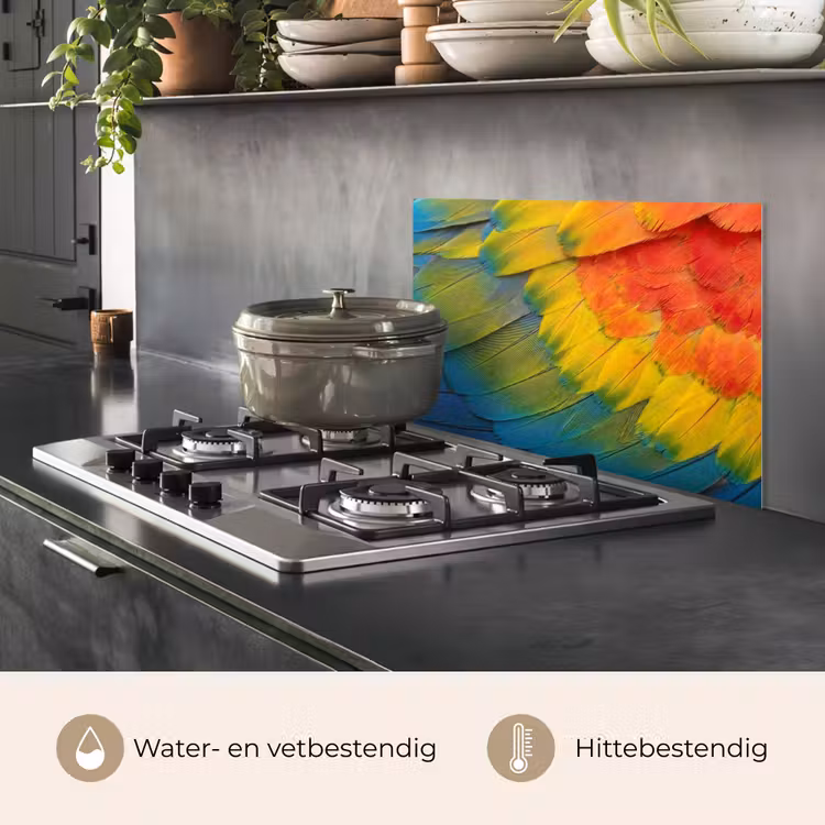 Spatscherm keuken - Veren - Ara - Kleurrijk — 7