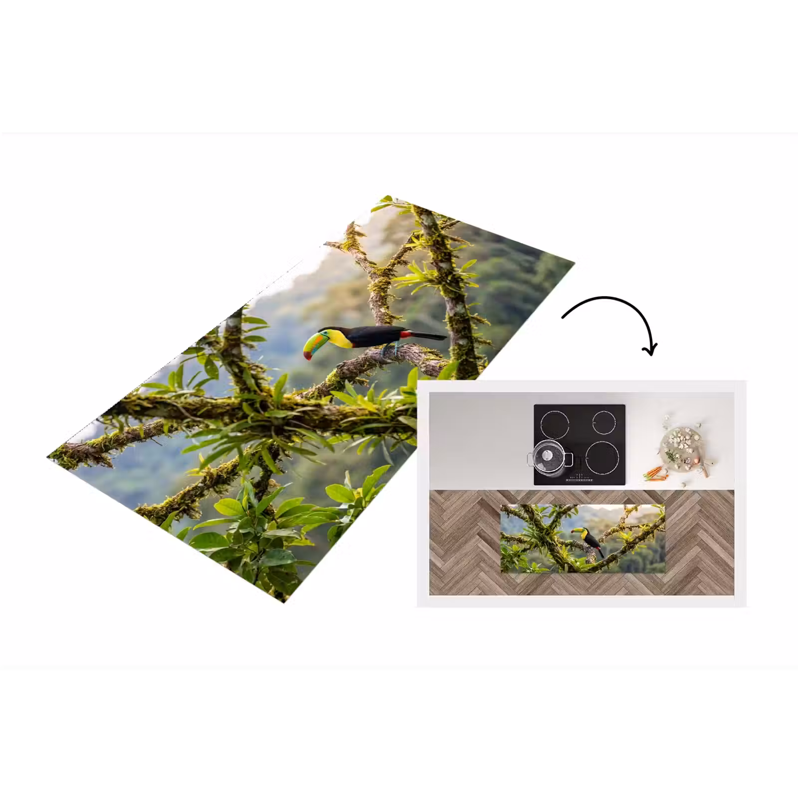 Keukenloper - Toekan - Jungle - Natuur - Kleurrijk — 1