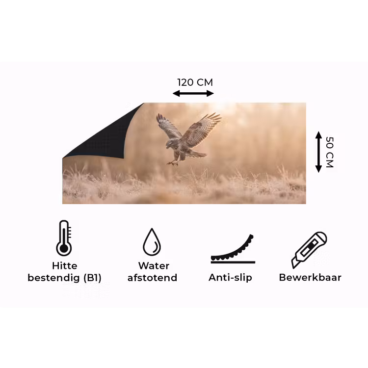 Keukenloper - Buizerd - Roofvogel - Natuur - Bruin — 5