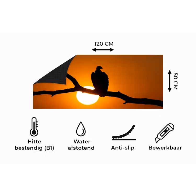 Keukenloper - Gier - Tak - Zon - Oranje — 5