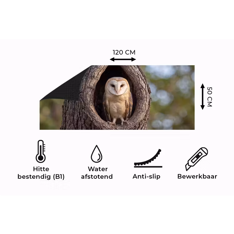 Keukenloper - Kerkuil - Boom - Natuur - Bruin — 5
