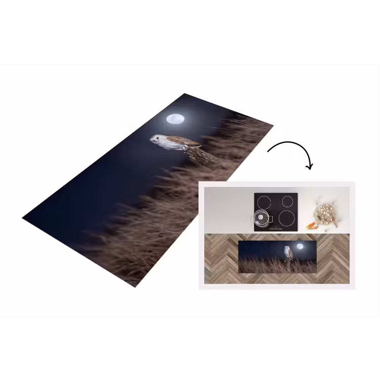 Keukenloper - Kerkuil - Maan - Nacht — 1
