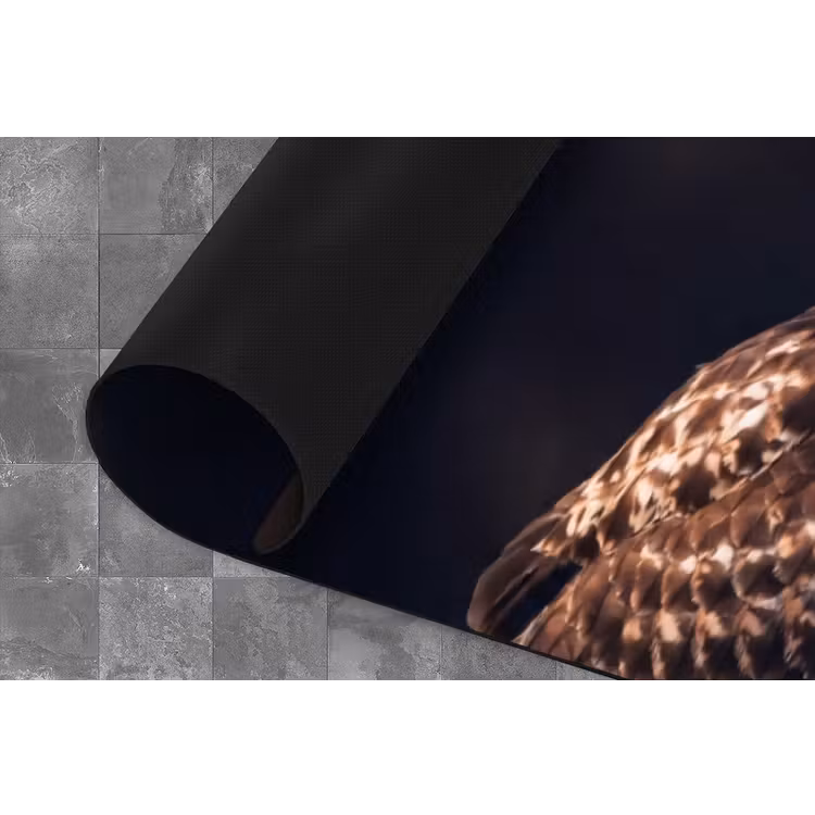 Keukenloper - Roofvogel - Buizerd - Bruin — 4