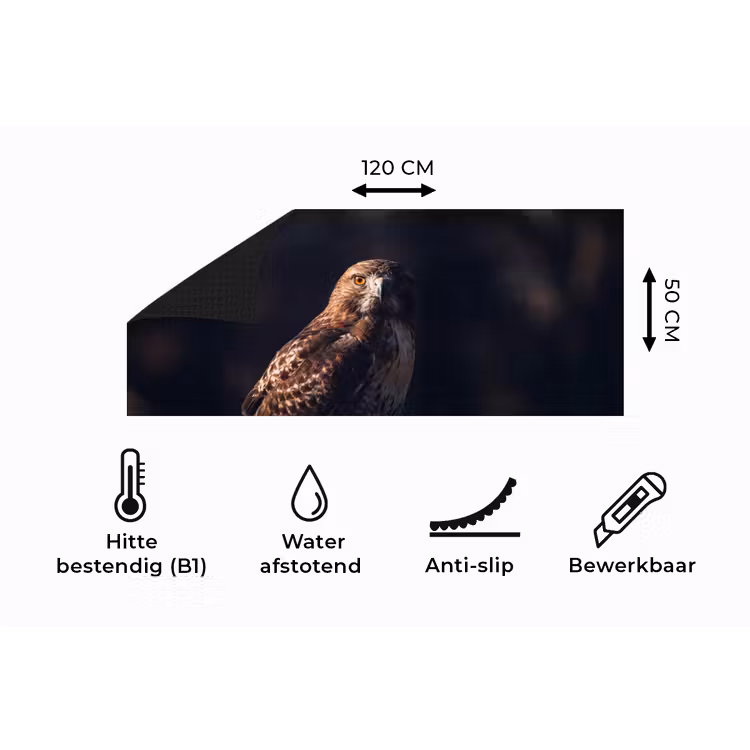 Keukenloper - Roofvogel - Buizerd - Bruin — 5