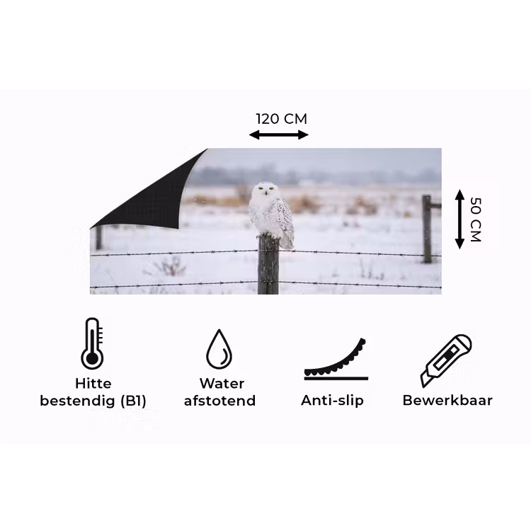 Keukenloper - Sneeuwuil - Hek - Sneeuw - Wit — 5