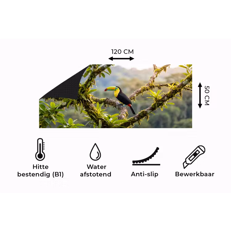 Keukenloper - Toekan - Jungle - Natuur - Kleurrijk — 5
