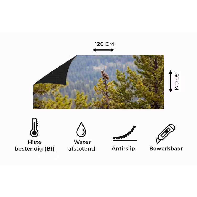 Keukenloper - Uil - Oehoe - Bomen - Natuur — 5