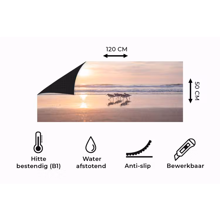 Keukenloper - Zee - Vogels - Strand — 5