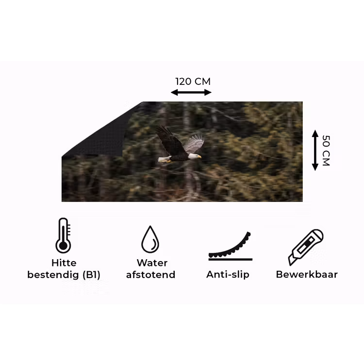 Keukenloper - Zeearend - Vliegen - Bos - Natuur — 5